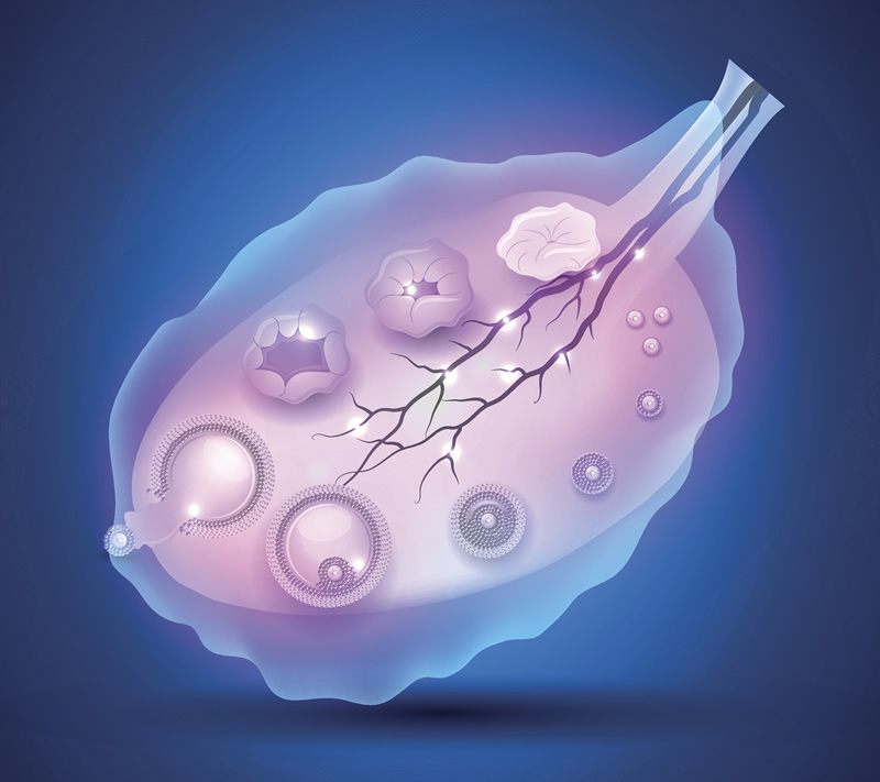 长春三代试管医院排名前十强名单发布，附双胞胎与费用详细解析